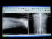 Diagn�stico por imagen