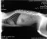 Diagn�stico por imagen