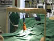 Traumatolog�a