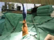 Traumatolog�a