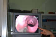 Ver galeria